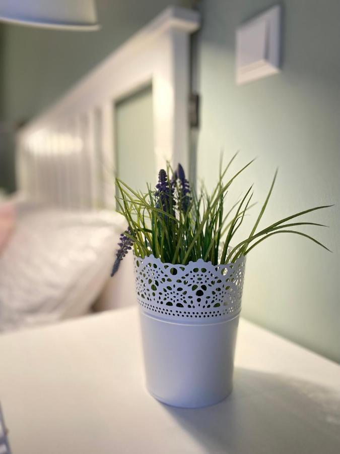 Apartmán Bed N Riesling Forst an der Weinstrasse Exteriér fotografie